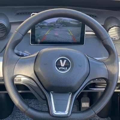 Le auto senza patente con il volante